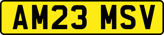 AM23MSV