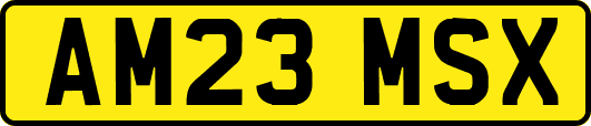 AM23MSX