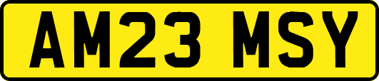 AM23MSY