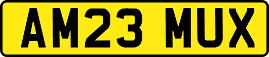 AM23MUX