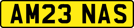 AM23NAS