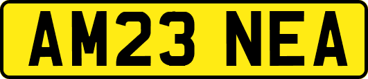 AM23NEA
