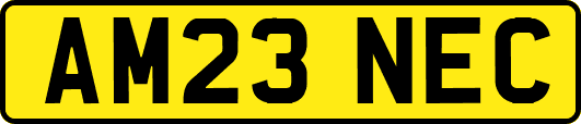 AM23NEC