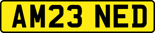 AM23NED