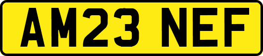 AM23NEF