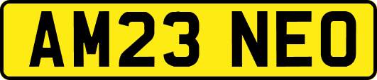 AM23NEO