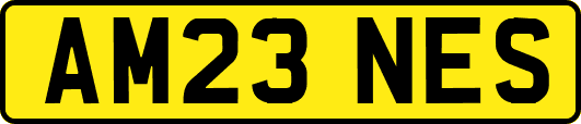 AM23NES
