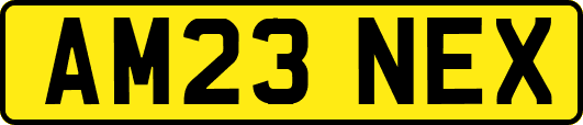 AM23NEX