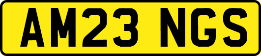 AM23NGS