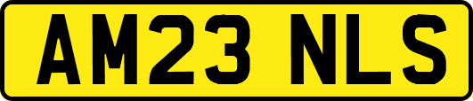 AM23NLS