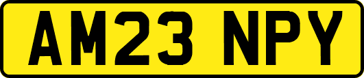 AM23NPY