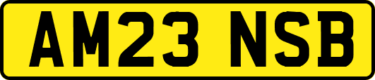 AM23NSB