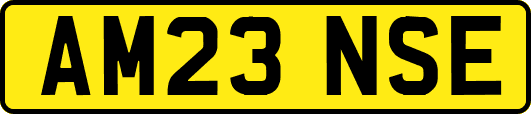 AM23NSE