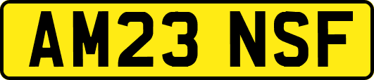 AM23NSF