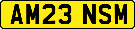 AM23NSM