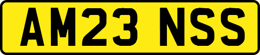 AM23NSS