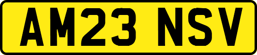 AM23NSV