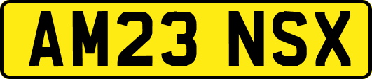 AM23NSX