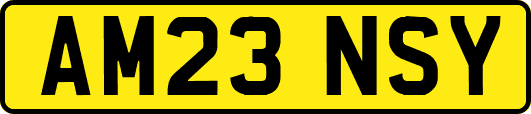 AM23NSY