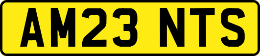 AM23NTS