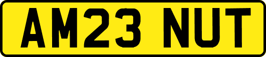 AM23NUT