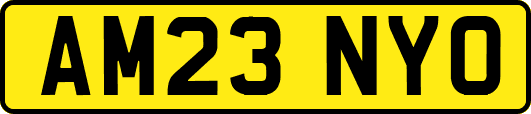 AM23NYO