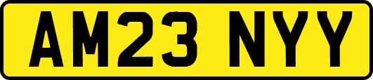 AM23NYY