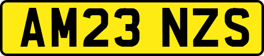 AM23NZS