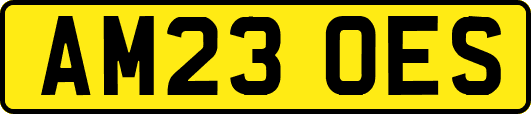 AM23OES