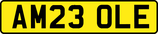 AM23OLE