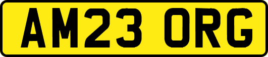 AM23ORG