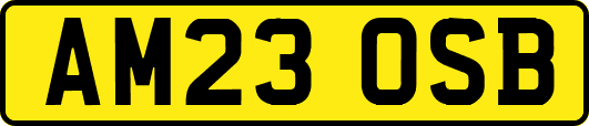 AM23OSB