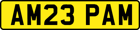 AM23PAM