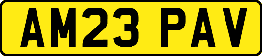 AM23PAV