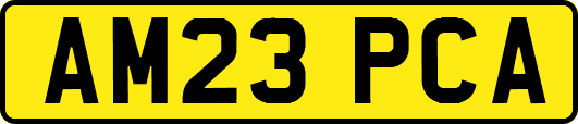 AM23PCA