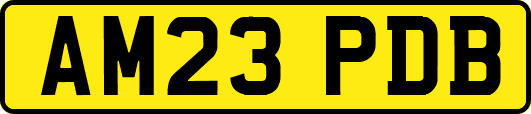AM23PDB