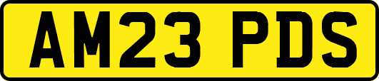 AM23PDS