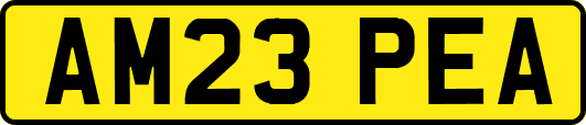 AM23PEA