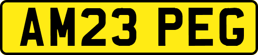 AM23PEG