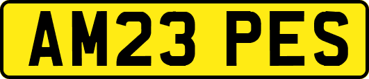 AM23PES