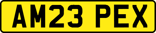AM23PEX
