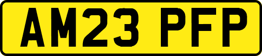 AM23PFP
