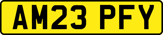 AM23PFY