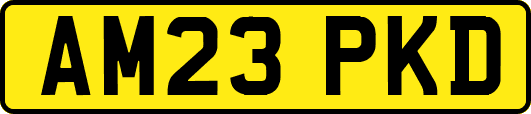 AM23PKD