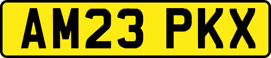 AM23PKX