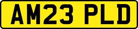 AM23PLD