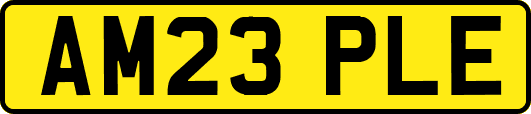AM23PLE