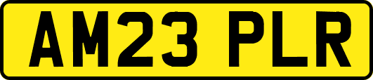 AM23PLR