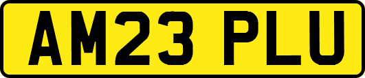 AM23PLU