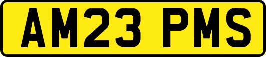 AM23PMS